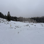 Nach etwa 20 Minuten Gehzeit erreichten wir das große Areal der Mittereckalm mit einigen Hütten und einem (inaktiven) Skilift