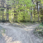In entgegengesetzter Richtung zum Aufstiegsweg ging es vom Geierkogel wieder abwärts - ich kam auf die Forststraße und erreichte diese Gabelung. Nach links ginge es weiter am Sebaldusweg, nach rechts weiter zum Glasenberg