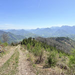 Danach ging es weiter. Der Thurnhamberg ist in Form des Waldberges vor uns bereits zu sehen