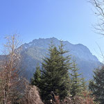 Immer wieder lichtete sich der Wald und gab den Blick nach rechts auf den Traunstein frei