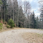 Entlang der Forststraße ging es leicht bergab, bis wir eine Kehre erreichten. Direkt in der Kehre zweigt ein gut ausgetretener Pfad ab