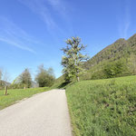 ... und weiter über die Straße ...