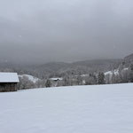 Bei heute etwas trüben Sichtverhältnissen starteten wir unsere Winterwanderung bei dem Parkplatz beim Gasthof Franzl im Holz