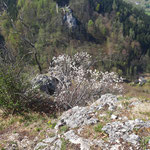  Blick auf die gegenüberliegende Ruine Scharnstein