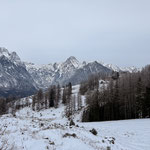 Im Abstieg führte uns eine Forststraße an der Westseite des Schafferkogel talwärts und schließlich über den markierten Wanderweg zurück zur Schafferreith
