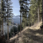 ... und folgten diesem talwärts bis zur Inselbacher Alm