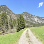 Wir folgten der Forststraße bis zu einem Schranken - danach gabelt sich der Weg und wir gingen links