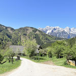 Schließlich erreichten wir das Weißenbachtal mit seinen Höfen, und damit auch die Asphaltstraße