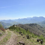 Schließlich lichtet sich der Wald und gibt ein wunderschönes Panorama frei - ich würde sagen, das ist der schönste Punkt unserer heutigen Tour!