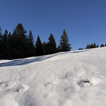 So stapften wir durch den Schnee zurück...