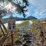 Nach etwa einer Stunde Gehzeit lichtet sich der Wald und gibt den Blick auf die Grünburger Hütte frei