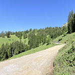 Der Wald lichtete sich und gab das weitläufige Almareal der Grabneralm frei