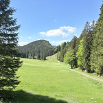 Und schon waren wir wieder bei der idyllischen Fuchsalm angekommen...
