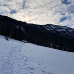 Nicht lange, und der Wald gab eine weitere Alm frei, die Krapferalm 