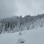 Der tief verschneite Wald unterhalb des Faistenauer Schafberges