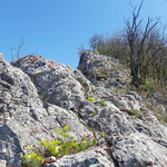  Wegverlauf entlang der Mauer