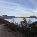 Richtung Osten lichtete sich der Wald zunehmend und gab immer schönere Ausblicke auf den Nebel frei - hier konnte ich gar nicht anders, als mich ein bisschen auszutoben