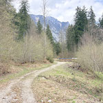 ... und es schloss sich der Kreis zu unserer Aufstiegsroute