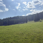 ... und schon liegt die Steyrsbergerreith in Sichtweite
