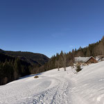 Vorbei an der Krapferalm, durch den Wald und zu Zwerglalm. Bei der darauffolgenden Gabelung ging es aber nicht wieder zurück auf die Forststraße, sondern etwas unterhalb den Markierungen folgend