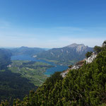  Wolfgangsee und Schafberg