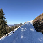 So legten wir die letzten Höhenmeter bis zur Alm zurück - wieder mit deutlich mehr Schnee als im Wald