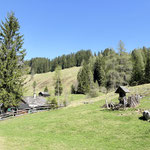 Wir beschlossen, die idyllische Alm zu durchwandern und noch ein Stück weit ins Tal hinein zu gehen