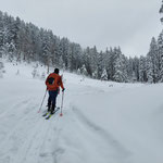 Wald und Lichtungen wechselten einander ab