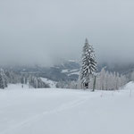 Die Mittereckalm lag schon ein ganzes Stück weit hinter uns