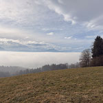 Unter dem Nebelmeer versteckt sich der Attersee, dahinter ist der Schafberg zu sehen und man sieht sogar bis in die Berchtesgadener Alpen rundum den Hohen Göll