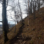  Dann über einen Waldweg, bevor der Aufstieg entlang der Mauer beginnt (leider bei schlechterem Wetter)