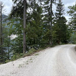 Schließlich hatten wir das Ende des Waldweges erreicht und legten den restlichen Teil des Weges auf der Forststraße zurück