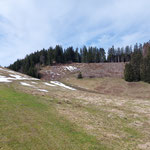 Ein kurzer Anstieg führte uns auf den Wald zu