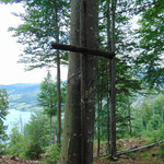  Schlichtes Gipfelkreuz, an einen Baum genagelt