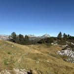 Kaum dass wir den Wald verlassen hatten, bot sich ein zunehmend traumhafter Ausblick über das Plateau 