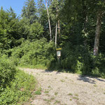 Bei dieser Gabelung verließen wir die Forststraße und wanderten nach links in den Wald