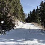 Wir erreichten eine Gabelung - man könnte nun nach links weiterwandern und somit bis knapp unterhalb des Gipfels auf der Forststraße bleiben, oder geradeaus zur Rieseralm gehen und die Forststraße somit in gut 10 Minuten verlassen