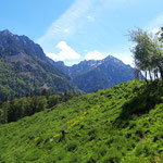  Blick auf Rettenkogel, Bergwerkskogel und Rinnkogel