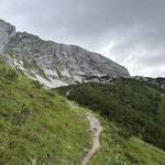 Die Landschaft veränderte sich - der Wald wich Wiesen und Latschen