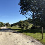 Auch hier gibt der Verlauf ein Gefühl der Almidylle 