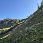 Über einen steilen und schattigen Hang ging es in Serpentinen aufwärts,...