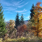 Der Ausblick am Gipfel ist eher beschränkt, dafür zeigten sich wieder die schön verfärbten Bäume im Herbstkleid