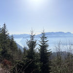 Zu unserer linken erstreckte sich der leuchtend blaue Traunsee und das Höllengebirge
