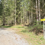 Zunächst folgten wir der Makierung des Schurlsteiges in Form eines Karrenweges in den Wald Richtung Liezener Hütte