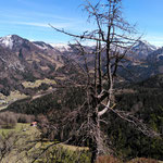  Blick vom Gipfel in Richtung Falkenmauer