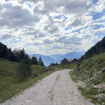 Ab dem Langpoltner Klamml hatten wir die Langpoltenalm erreicht. Von nun an geht es über eine Forststraße weiter, die sich durch einige Abschneider abkürzen lässt