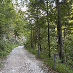 Weiterhin gemütlich führte uns eine schmale Forststraße durch das Tal,...