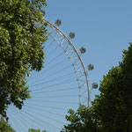 Das Londoner Riesenrad