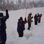 Probing in an avalanche scenario