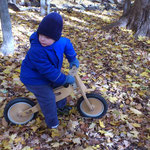 Balance bike in the fall